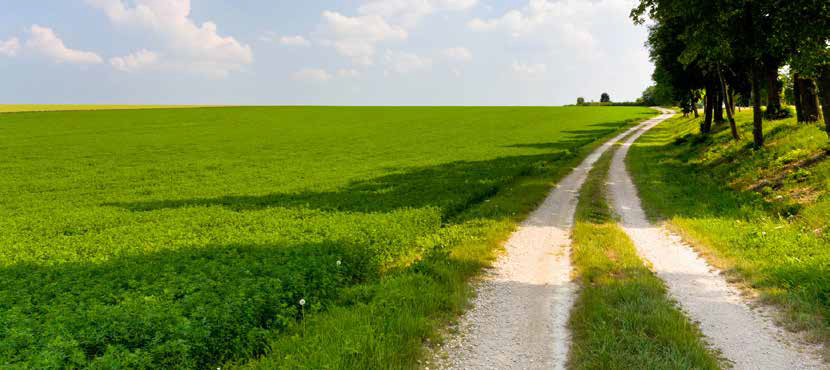 <h5>Virtual ROPS and FOPS testing on agricultural tractors according to OECD Standard Code 4 and 10 </h5>