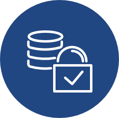 Data Management & Workflow